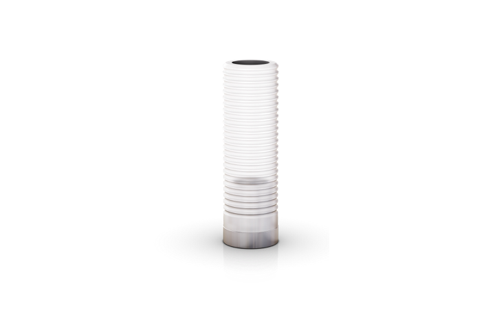 Alvim CM